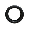 Roadshine
            RS909
            225/30R20